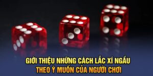 gioi-thieu-nhung-cach-lac-xi-ngau-theo-y-muon-cua-nguoi-choi-n666